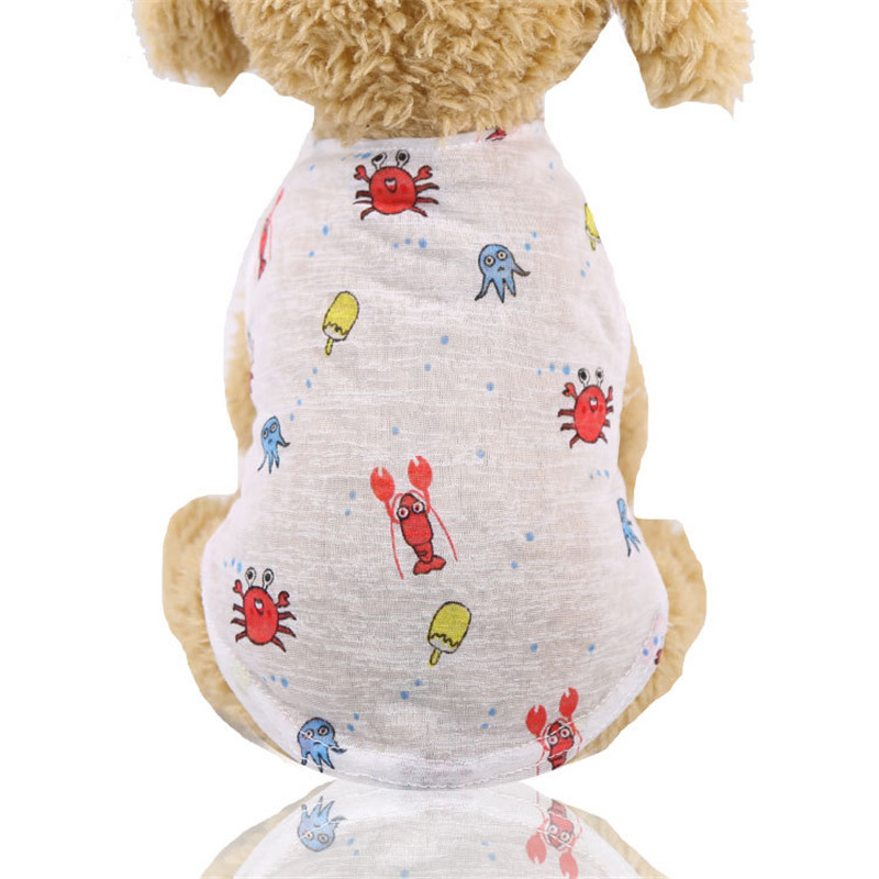 5 Colors Summer Lovely Cartoon - مراجعة Summer Clothing Colors وسعره