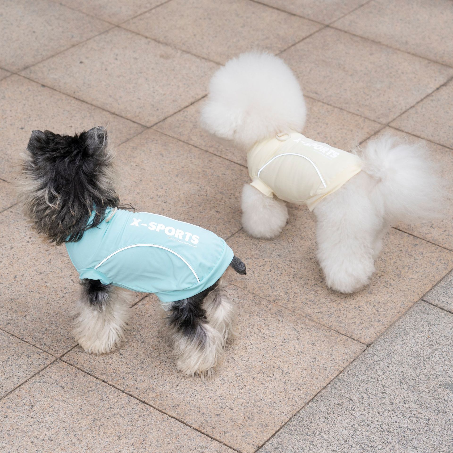 Pet Dog Clothing For Spring Su - مراجعة Summer Clothing Cheap وسعره